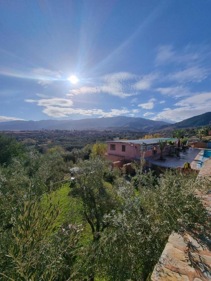 L'Oliveraie D'Amizmiz Dış mekan fotoğraf